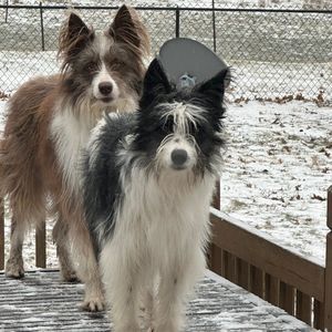 Meet your Posher, Alycia